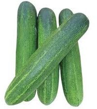Fresh Long Cucumber