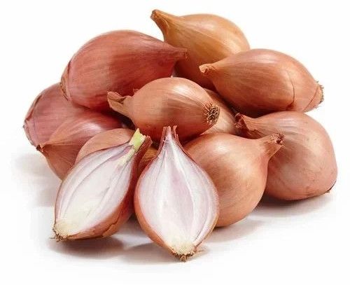 Fresh Shallots Onion