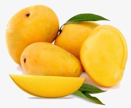 Premium Grade Alphonso Mango