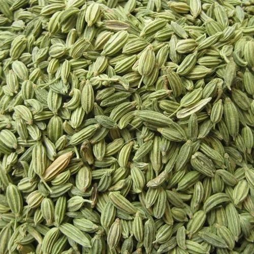 Green Fennel Seeds