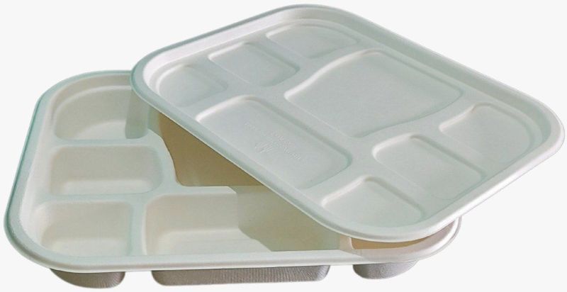 8 CP Bagasse Meal Tray