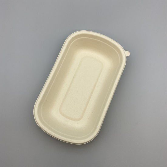 Biodegradable Container Without Lid