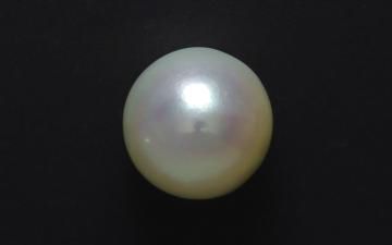South Sea Cultured Pearl