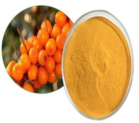 Dehydrated Sea Buckthorn Powder