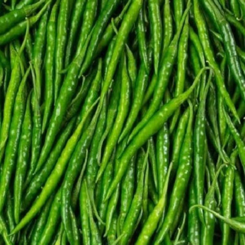 Fresh G4 Green Chilli