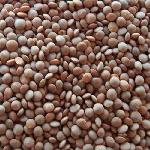 Whole Red Masoor Dal