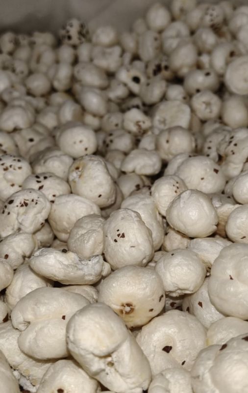 5 Sutta Phool Makhana