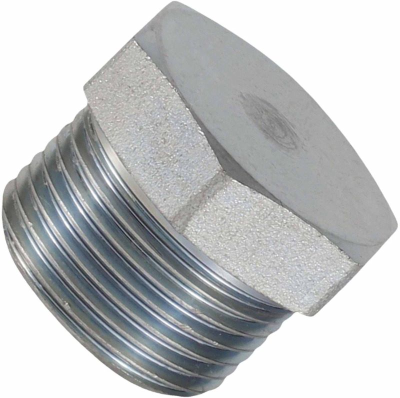 Stainless Steel 310 Forged Pipe Plug