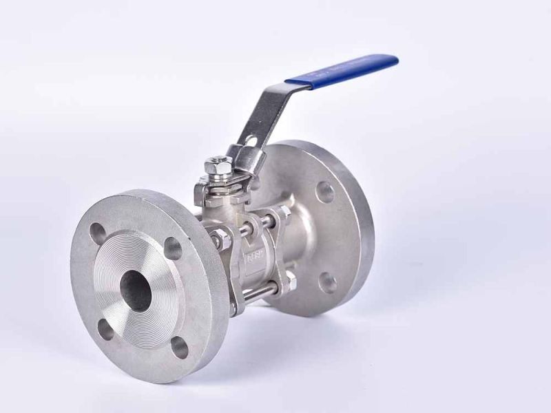 Stainless Steel 316 Flanged End Valve