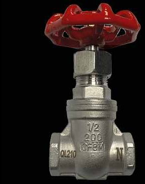 Stainless Steel 316 Gate Valve