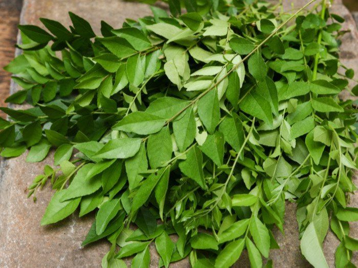 Aromatic Curry Leaves