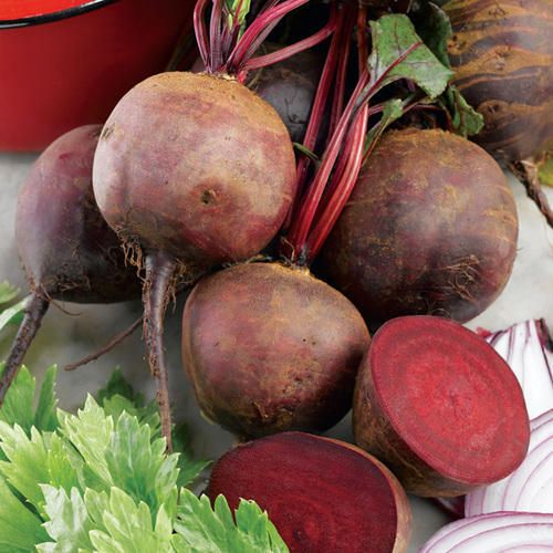 Fresh Beetroot