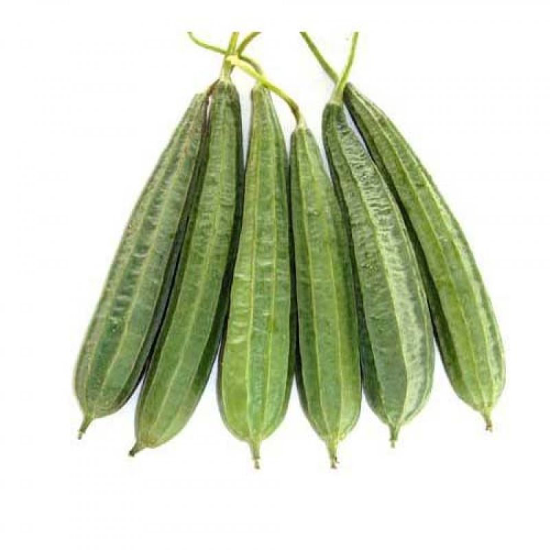Fresh Ridge Gourd