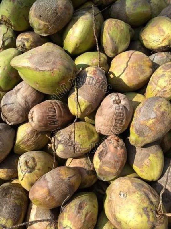 Fresh Green Tender Coconut