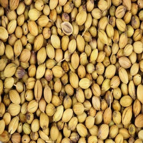 Coriander Seeds