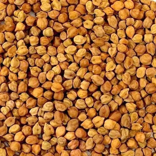 Desi Chickpeas