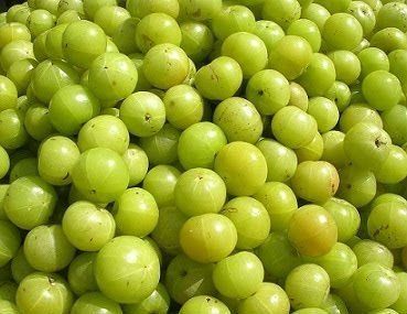 Fresh Amla