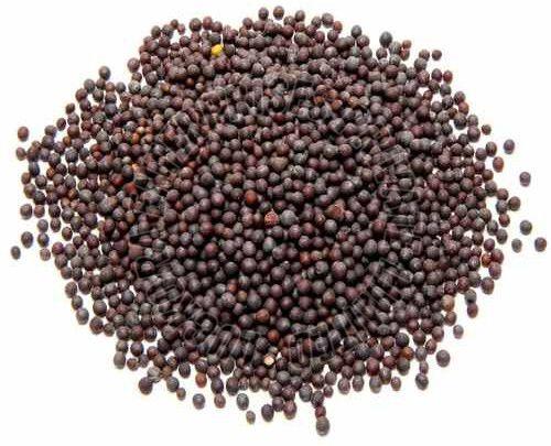 A Grade Black Mustard Seed