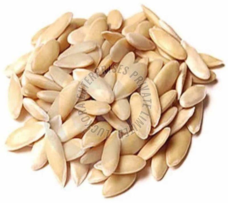 A Grade Cucumber Seed