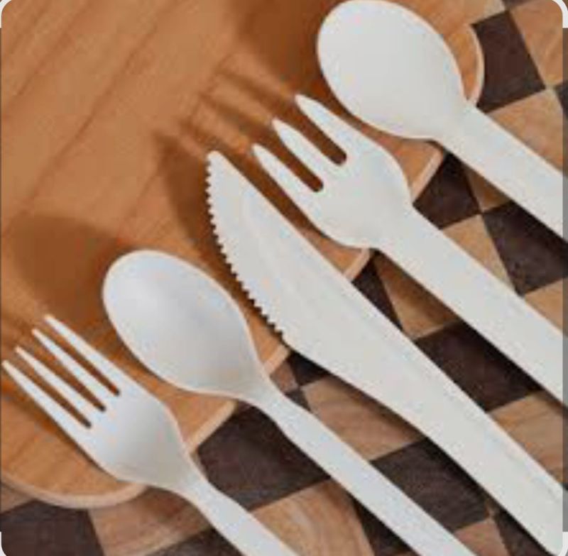 Sugarcane Bagasse Cutlery Set