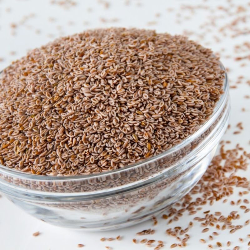 Psyllium Seeds