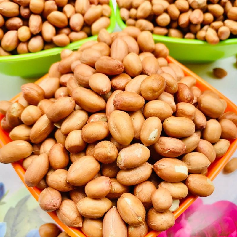 Groundnut Seeds