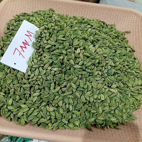 7 Mm Green Cardamom Seeds