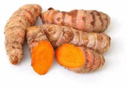 Fresh Raw Turmeric Root