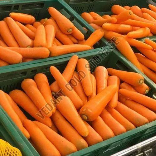 Frozen Carrot