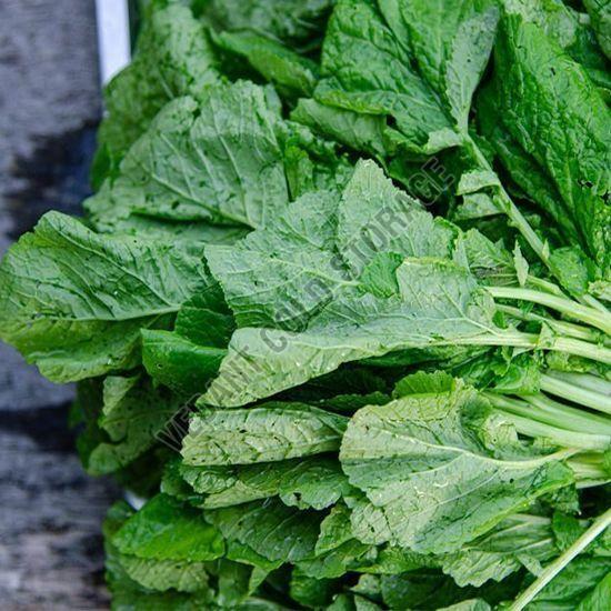 Frozen Mustard Leaves