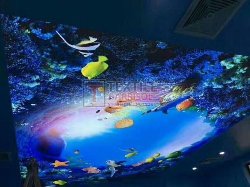 3D Aqua Stretch Ceiling