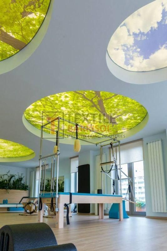 3D Dome Stretch Ceiling
