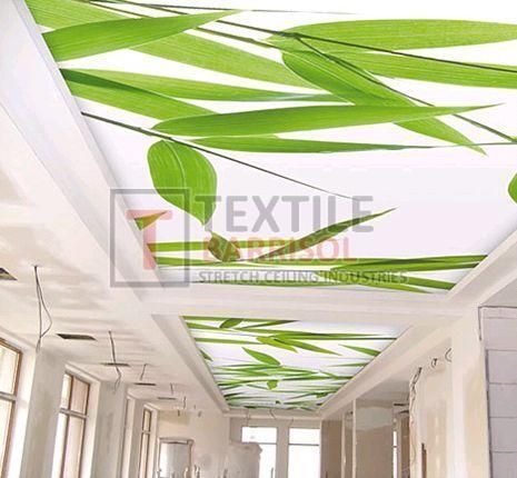 3D Forest Stretch Ceiling