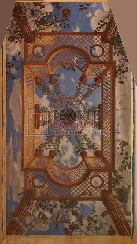 3D Roman Stretch Ceiling