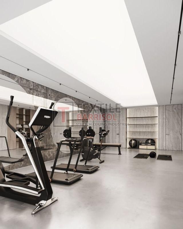 Textile Gym Stretch Ceiling