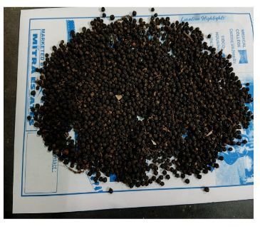 Black Pepper Seeds