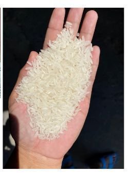 IR 64 Parboiled Rice