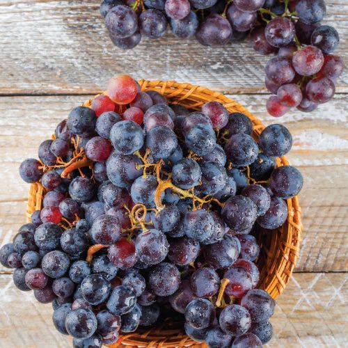 Fresh Fruits