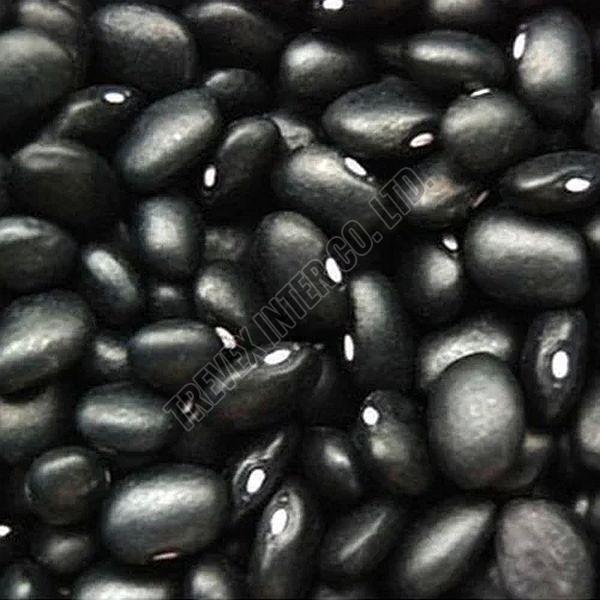 Black Kidney Beans