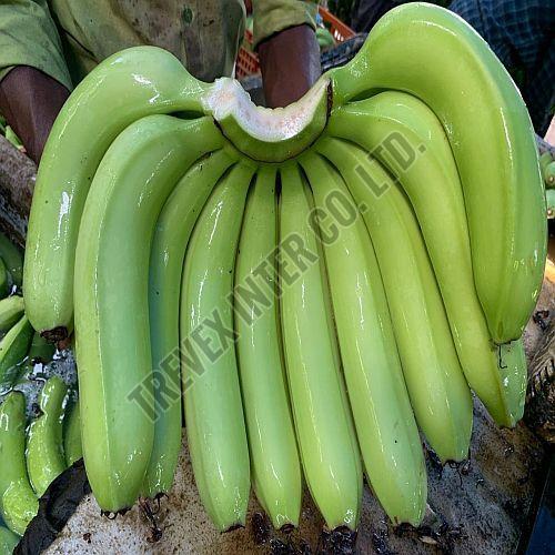 Export Quality Green Cavendish Banana