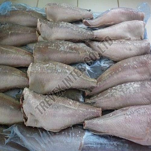 Frozen Hake Fish