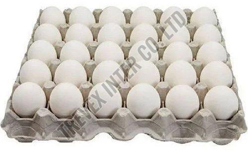 White Table Chicken Eggs