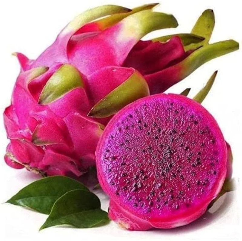 Exotic Grade Dragon Fruit