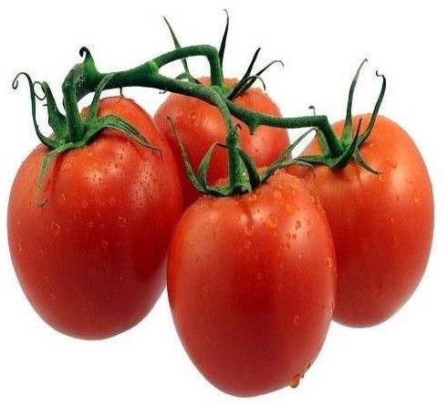 Juicy Red Tomato