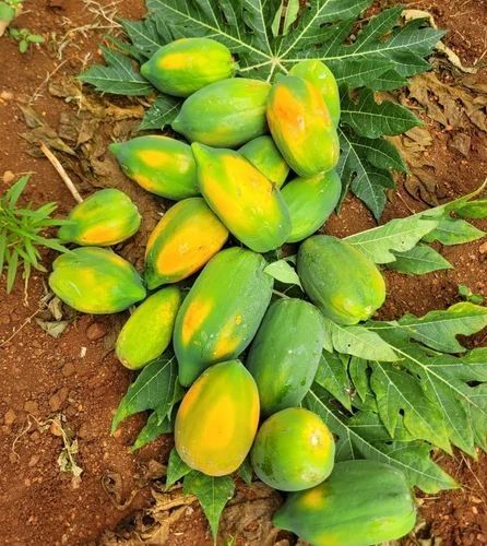 Exotic & Farm-Fresh Fruits