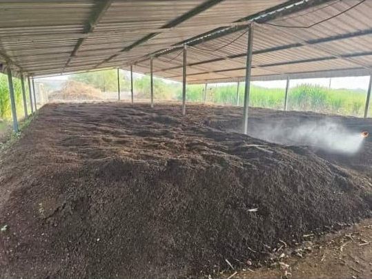 Vermicompost Fertilizer