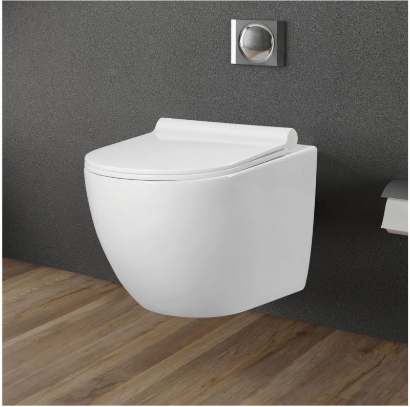Luxury Ceramic Wall Hung Toilet Seat