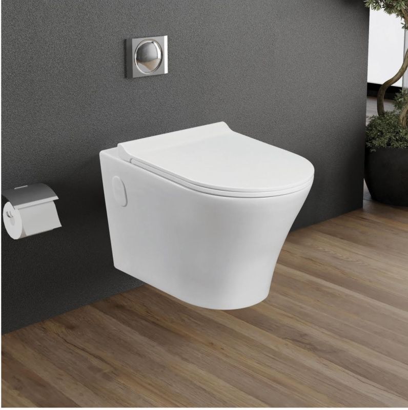 Modern Wall Hanging Toilet Seat