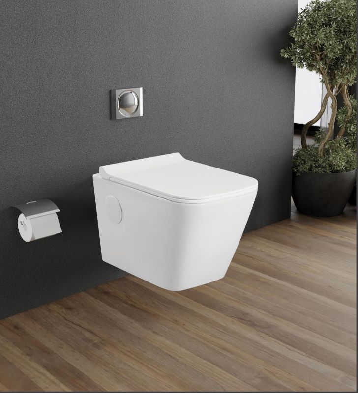 Rectangular Wall Mounted Toilet Seat