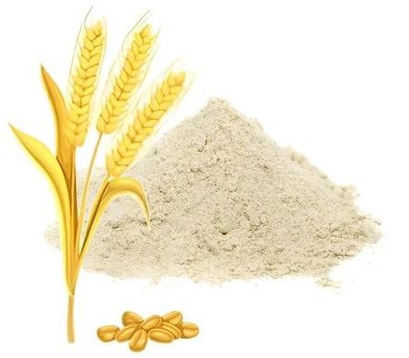 Wheat Gluten Powder